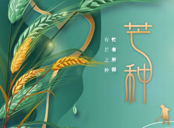 有芒之種 忙有所得丨中國(guó)傳統(tǒng)二十四節(jié)氣---芒種 